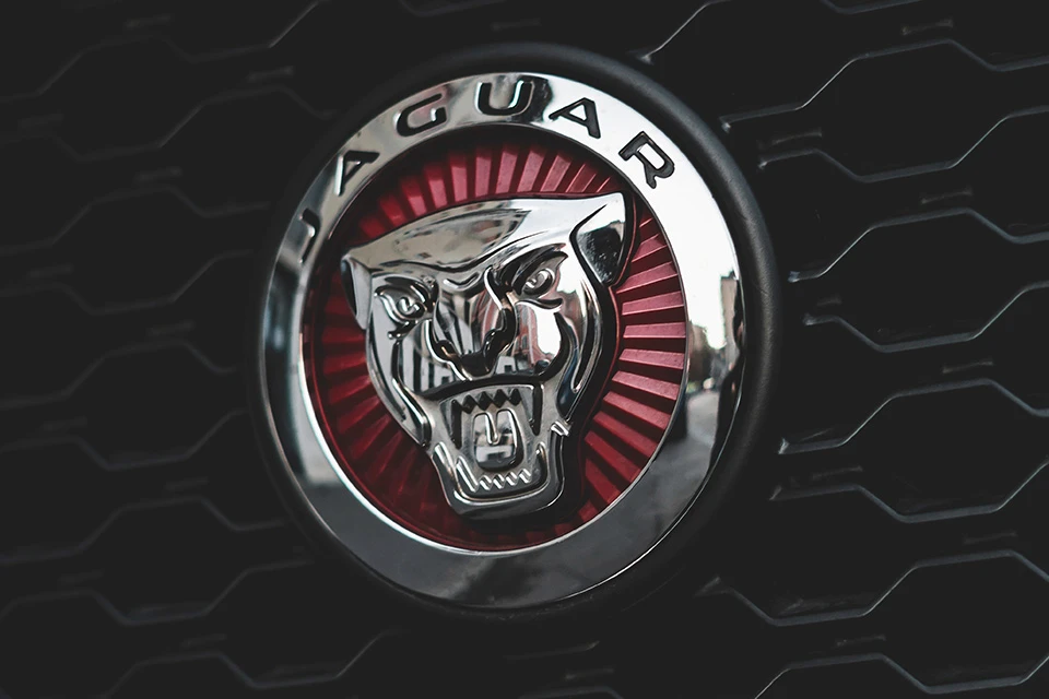 Close up of the Jaguar logo
