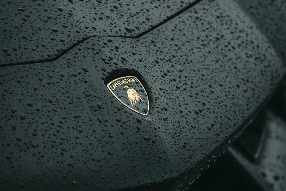 Close up of the Lamborghini logo with raindrops